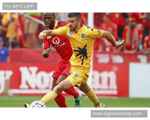 纽卡斯尔喷气机与惠灵顿凤凰比赛结果预测及分析 纽卡斯尔喷气机与惠灵顿凤凰比赛结果预测及分析